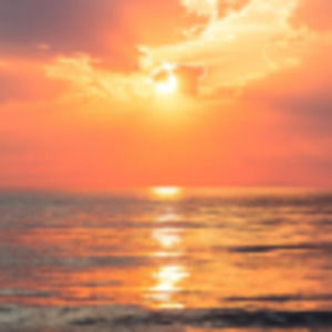 Meet your Posher, Margaret